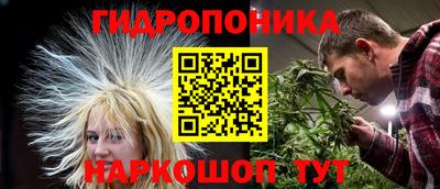 крисы Гусев