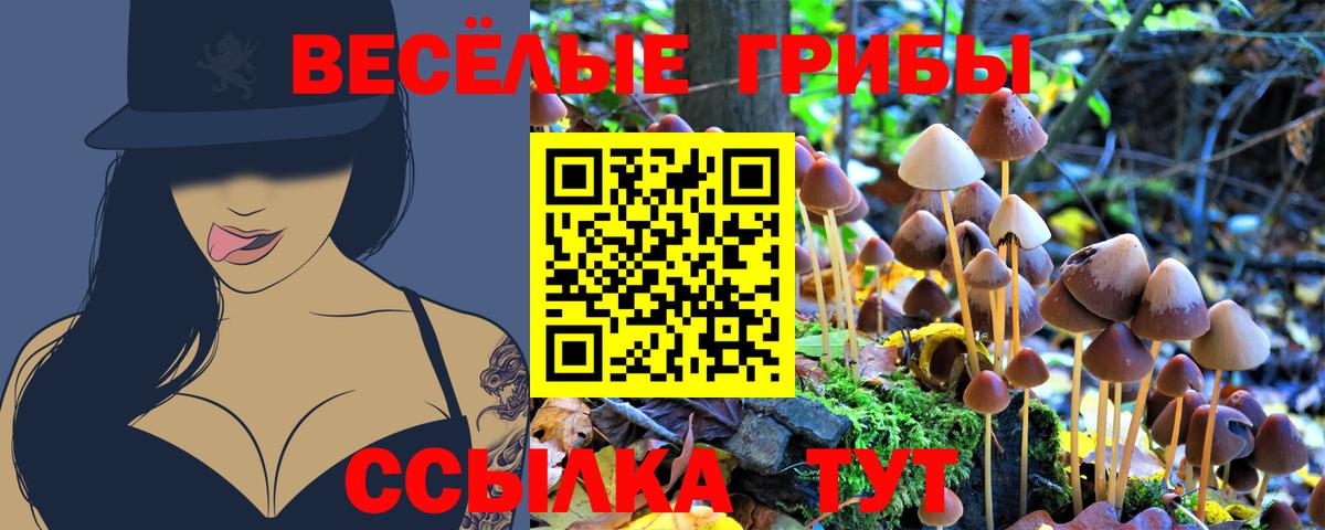 Псилоцибиновые грибы мицелий Люберцы