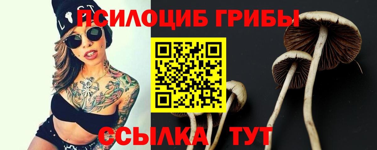 Псилоцибиновые грибы Psilocybe  Вход с VPN  Люберцы 